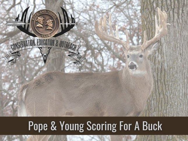 Pope & Young Scoring For A Buck