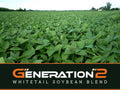 Real World Generation 2 Soy Beans 50 Pound Bag (1 Acre)