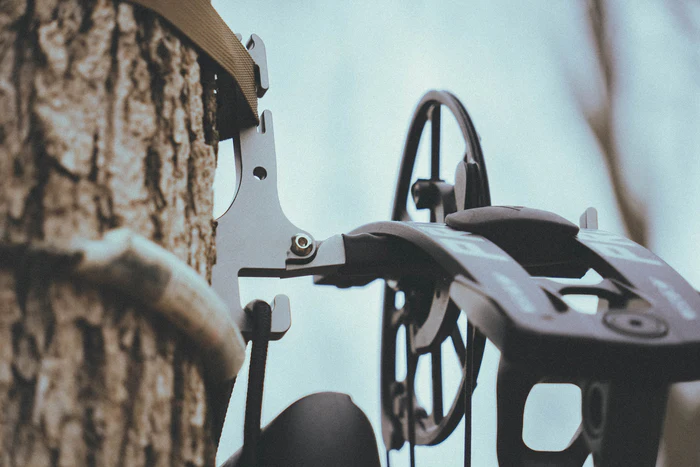 Latitude Bite Bow Hanger