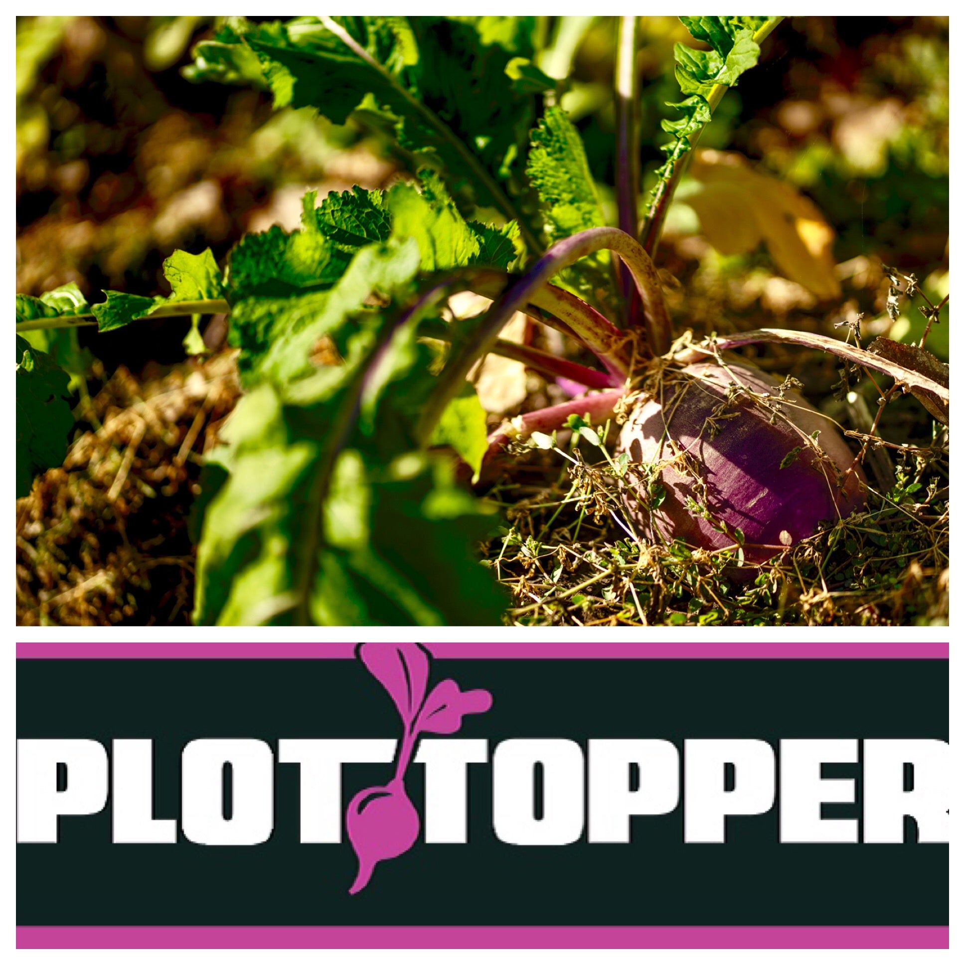 Real World Plot Topper 3 Pound 1/2 Acre Bag