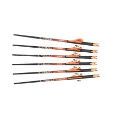 Ravin Arrows 400 Grain (6 pack)