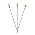 Carbon Express Predator SD Shafts