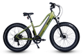 Dirwin Pioneer Lite Electric Bike