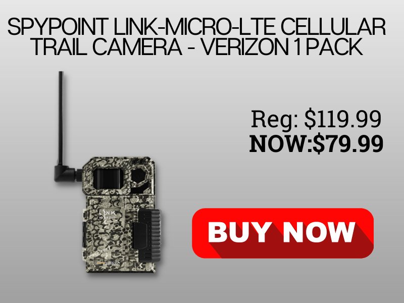Spypoint Trail Camera On Sale