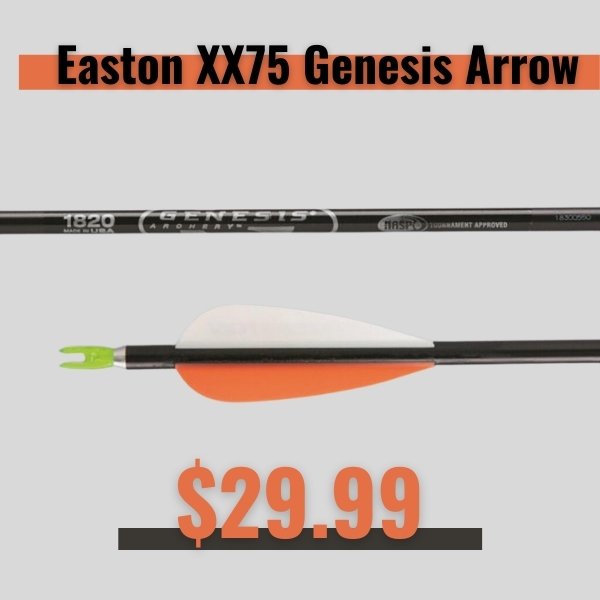 Easton XX75 Genesis Arrow Sale